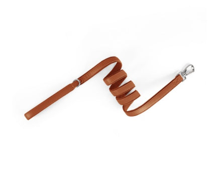 Premium Leather AirTag Dog Collar