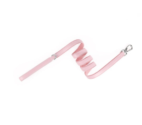 Premium Leather AirTag Dog Collar